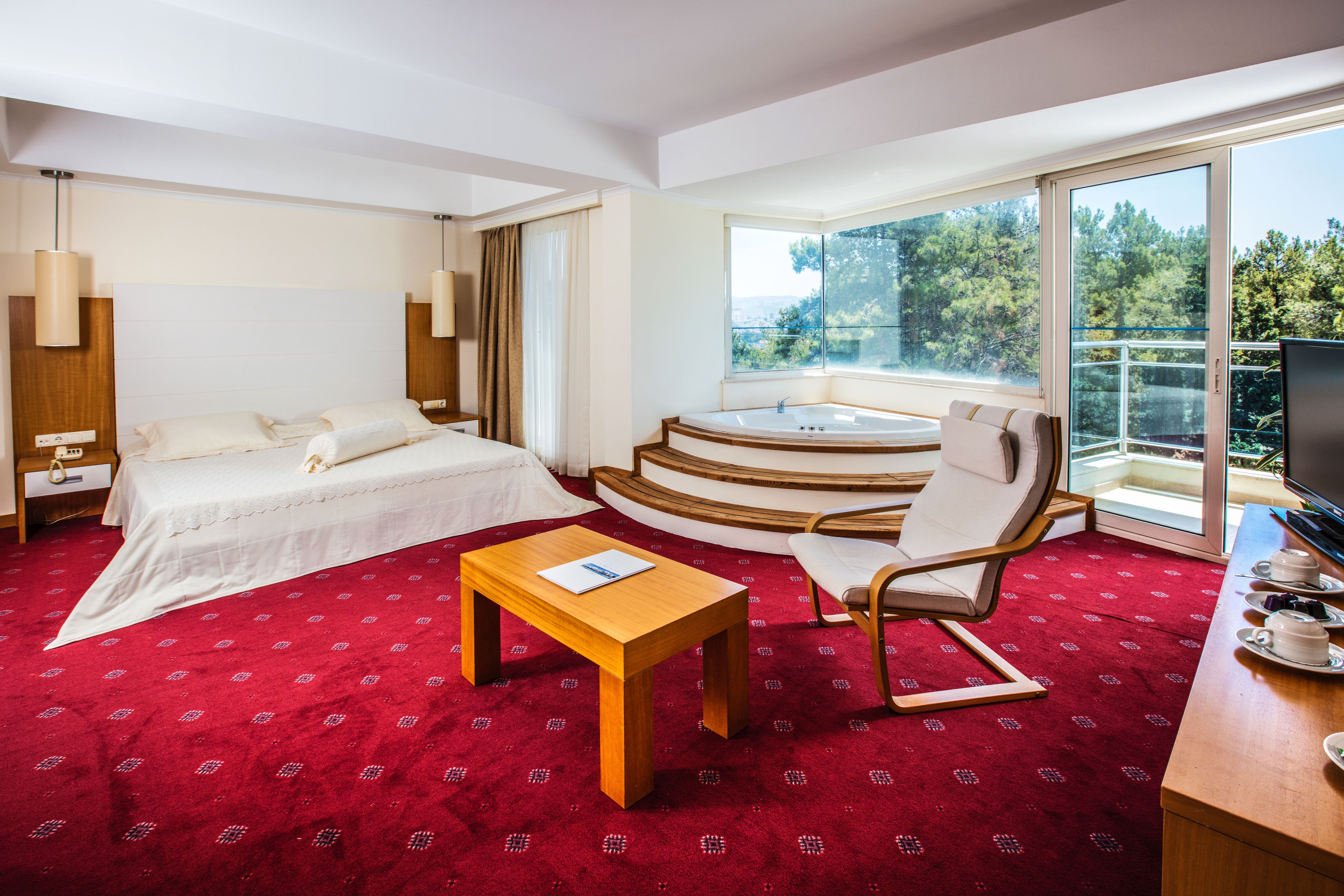 Deluxe Room 1