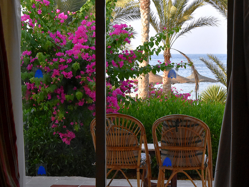 Deluxe Beach Front Room 2