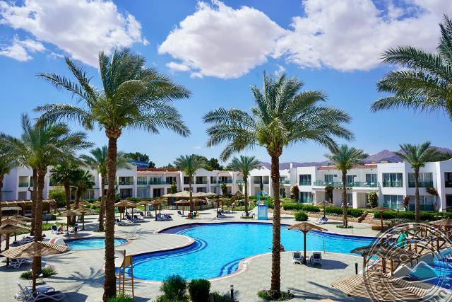 Panorama Naama Heights