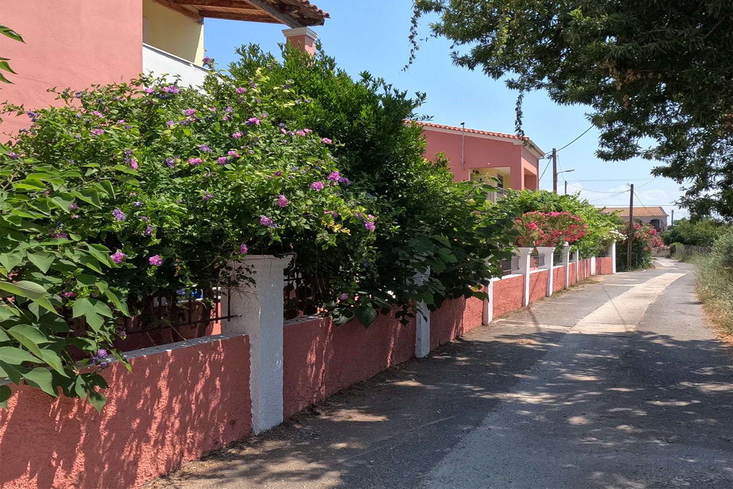 Antigoni Apartments 2