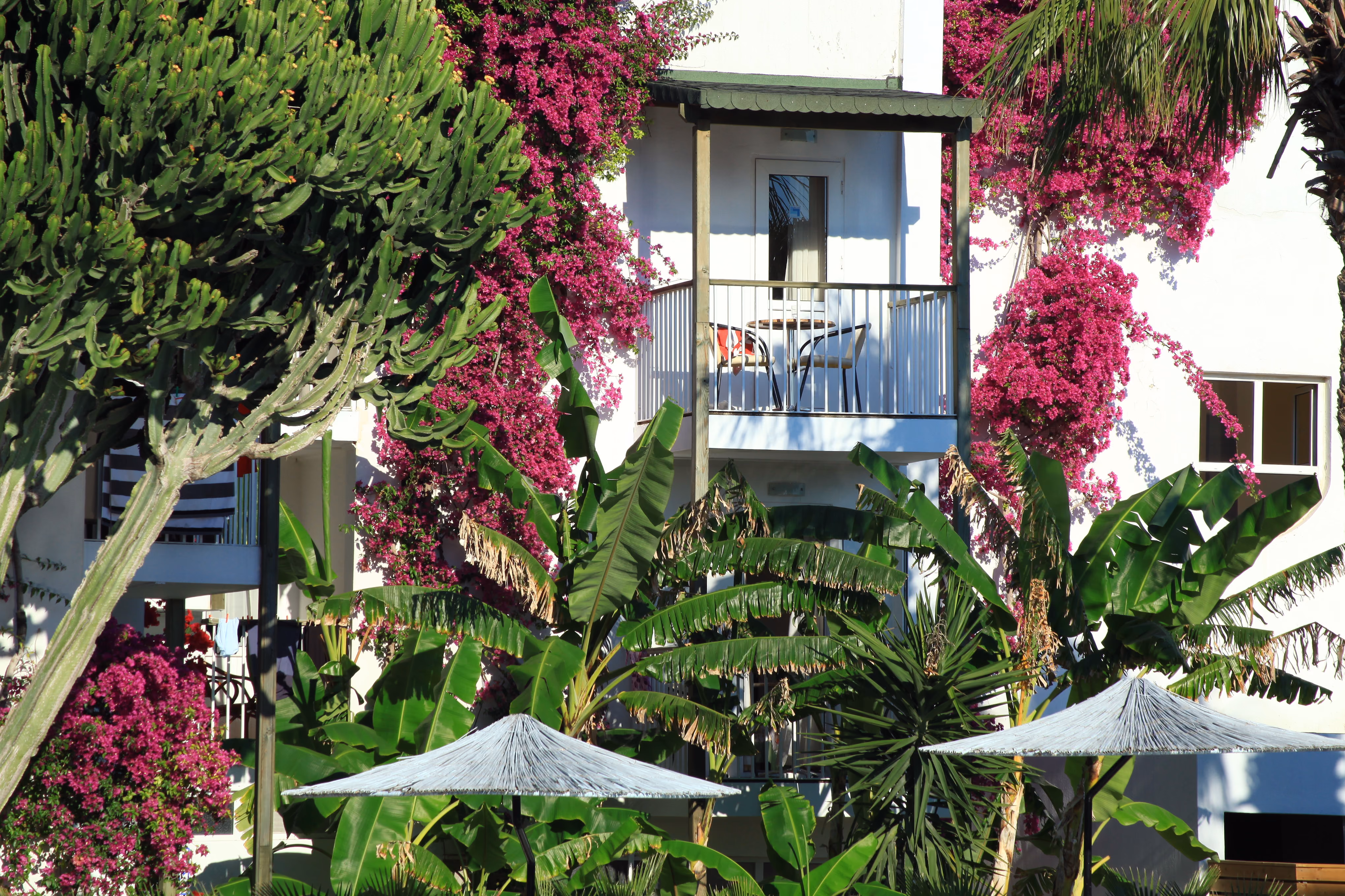 Parkim Ayaz Hotel 6