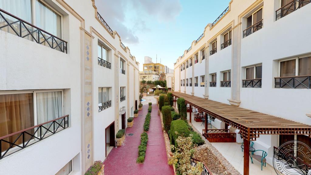 Falcon Naama Star 3