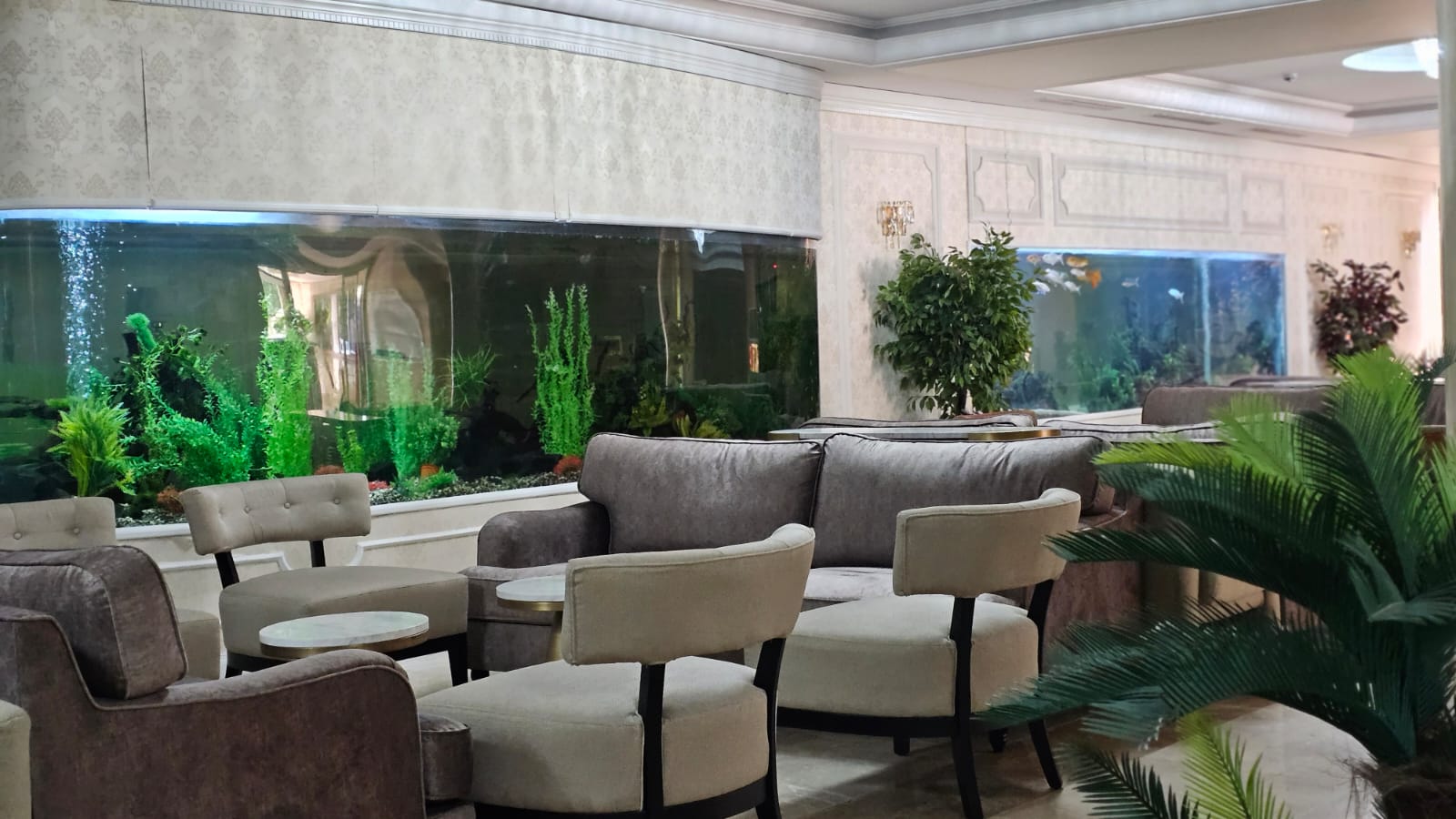 White Gold Hotel & Spa 5