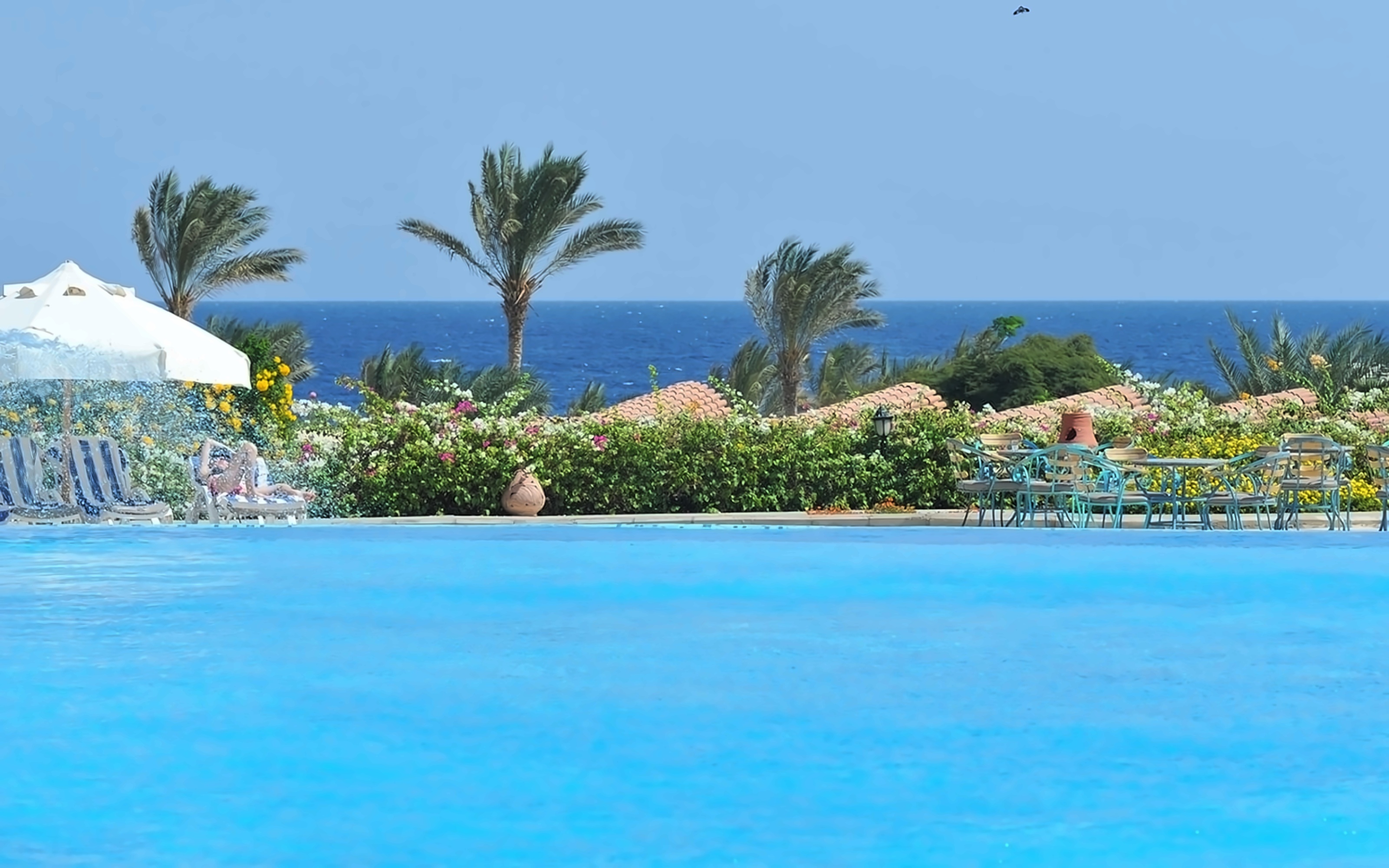 Royal Brayka Beach Resort 6