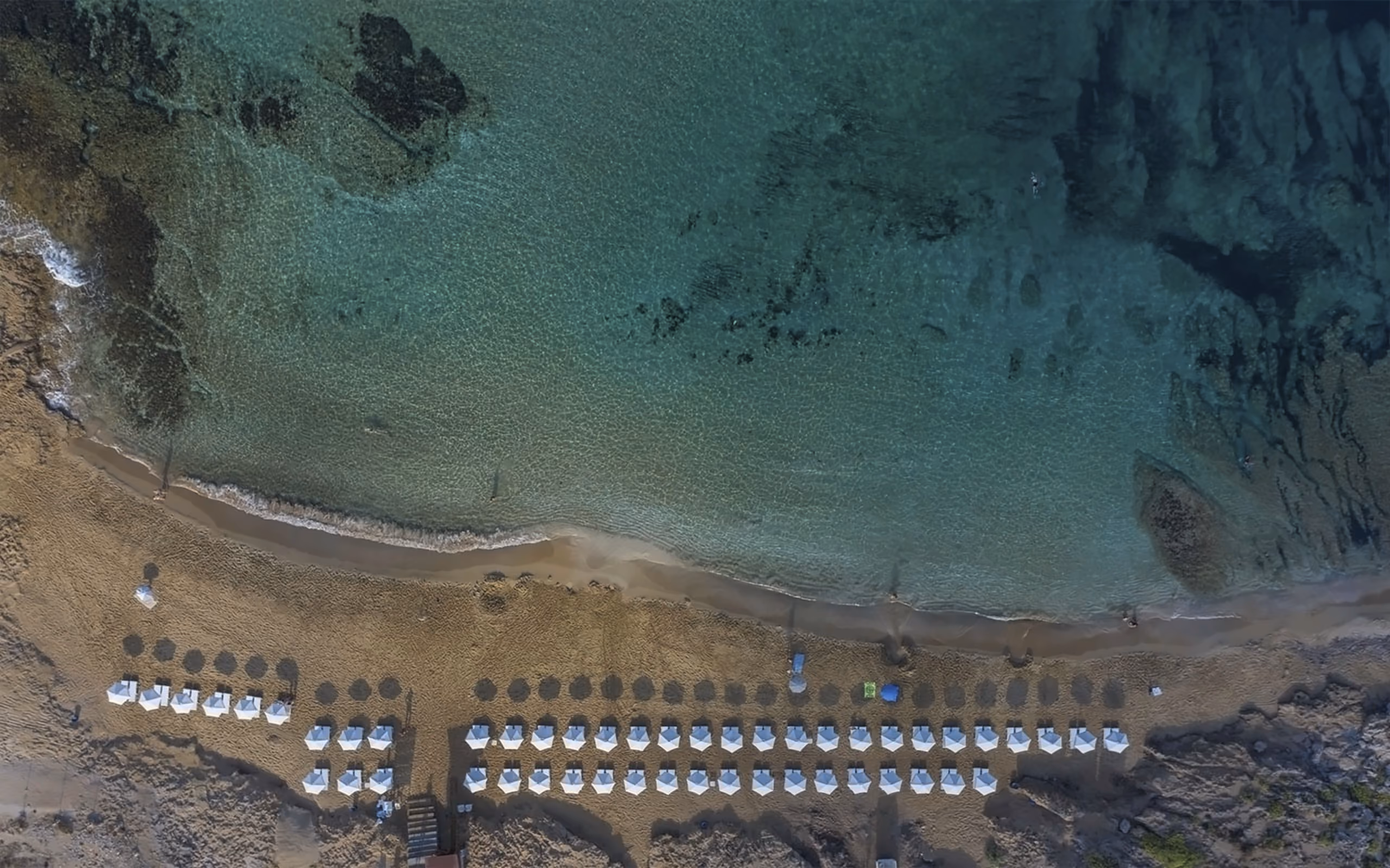 Venus Beach Hotel 6