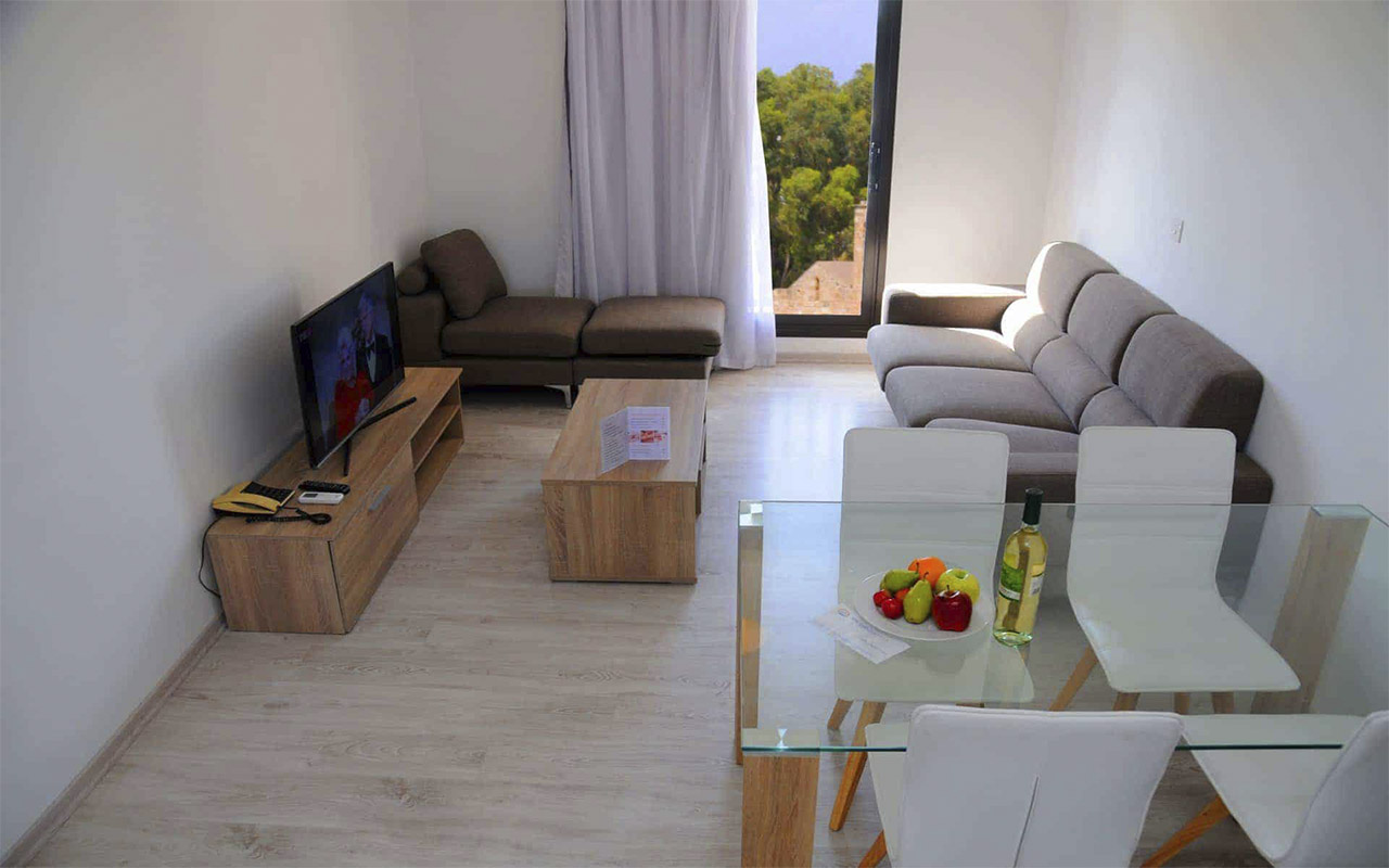 One Bedroom Apartment 3