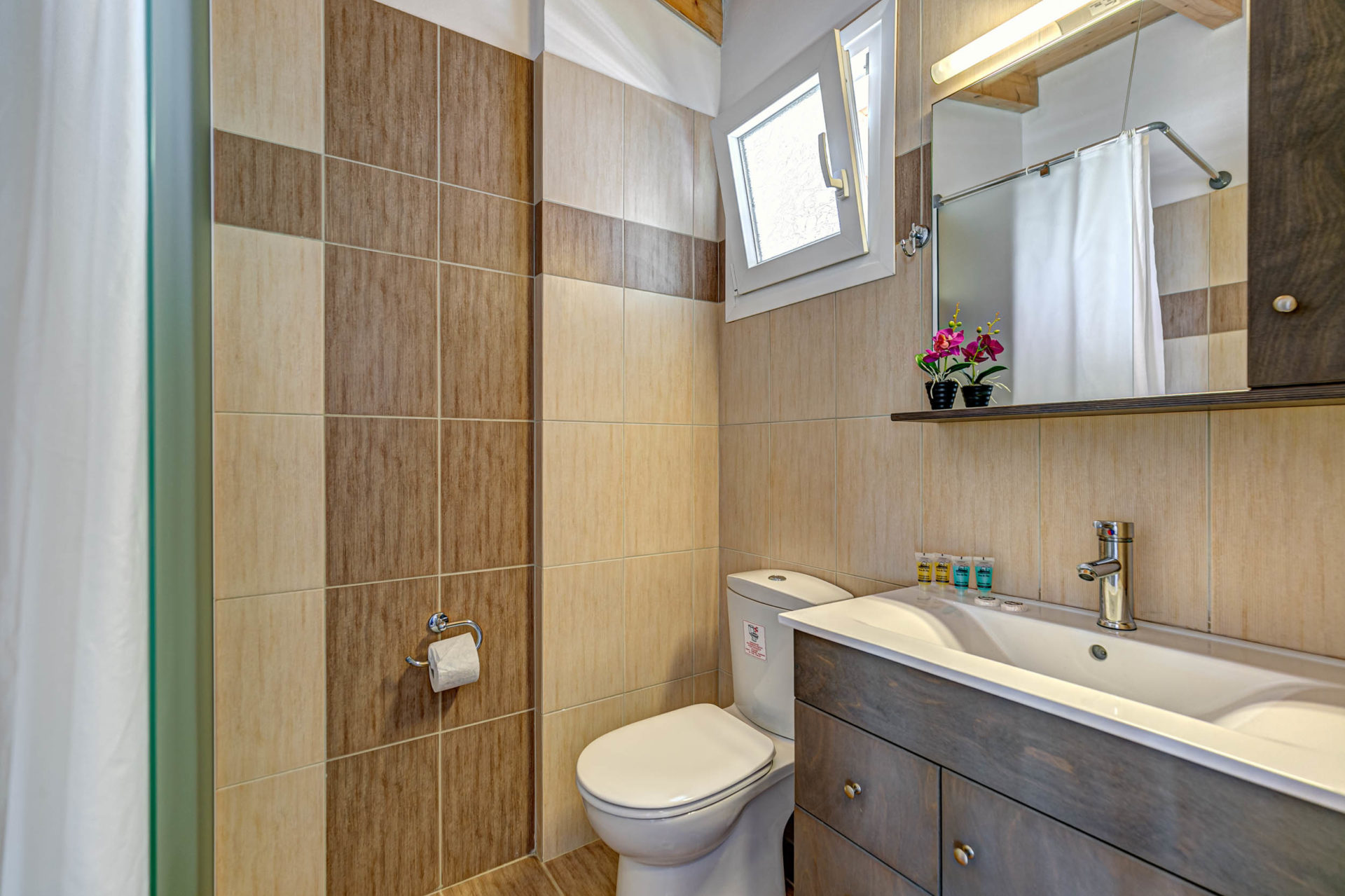 Junior Suite 1