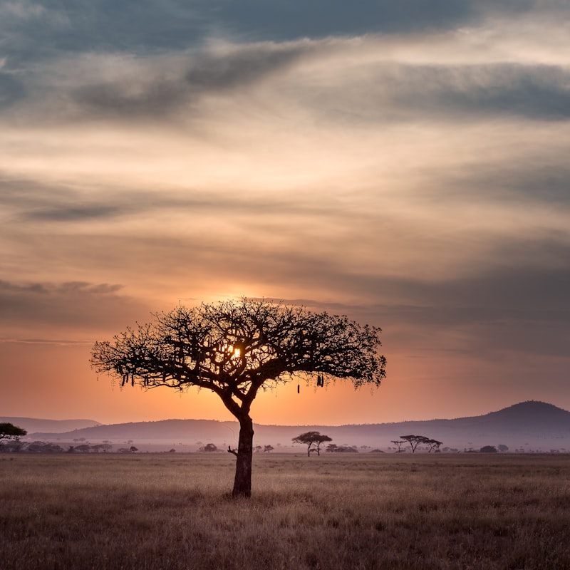 Aafrika