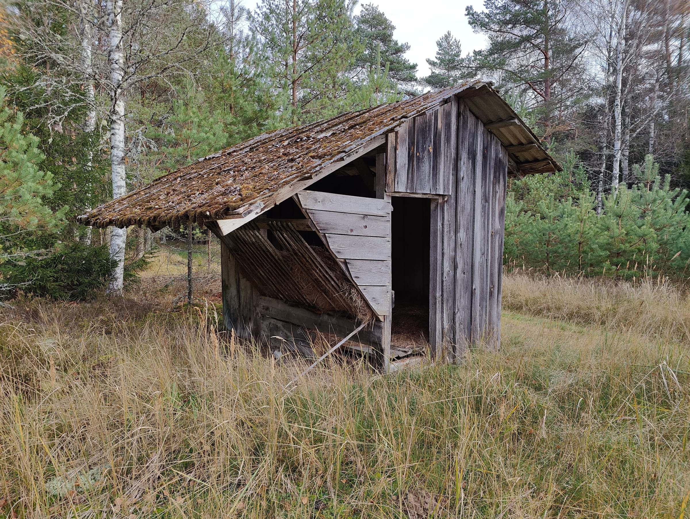 Vana loomade söödamaja metsalagendikul