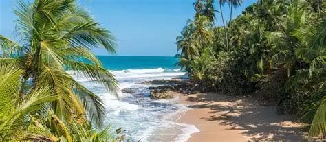 Costa Rica – Kariibi mere “vibe” 14