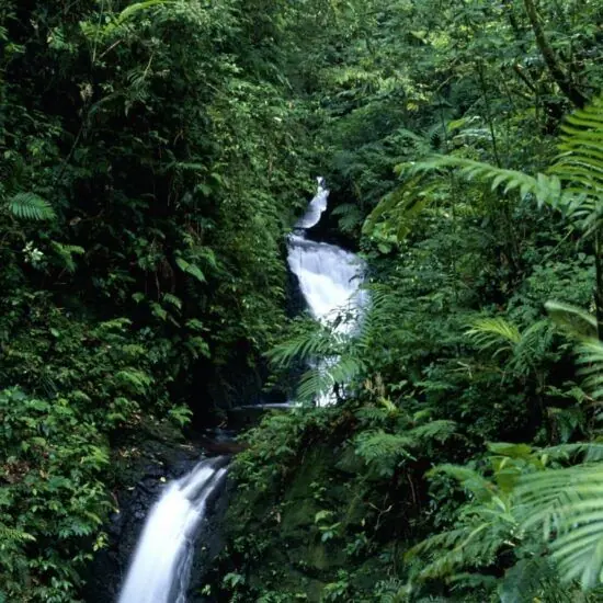 Costa Rica – roheline pärl 6